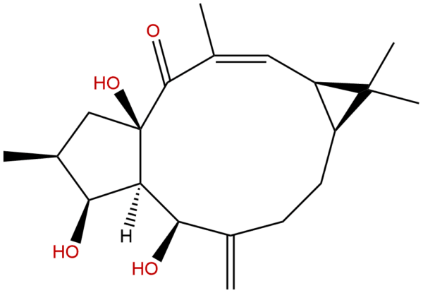 34420 19 4 - BIORLAB