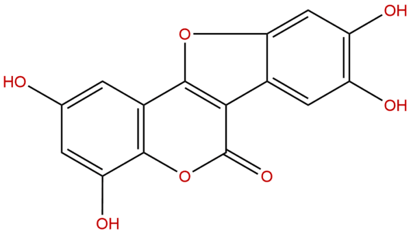 350681 33 3 - BIORLAB