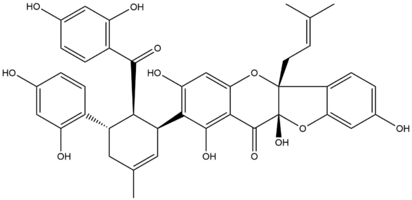 35f2058ff736af8ea35f91607bec9486 - BIORLAB