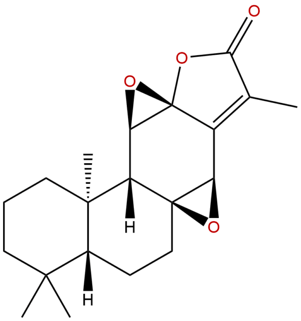 37905 08 1 - BIORLAB