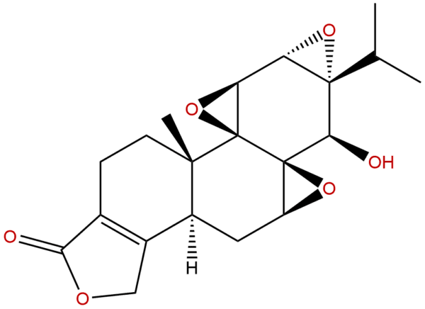 38748 32 2 - BIORLAB