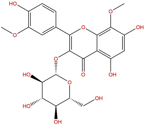 38836 51 0 - BIORLAB