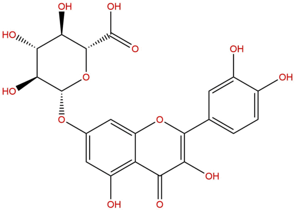 38934 20 2 - BIORLAB