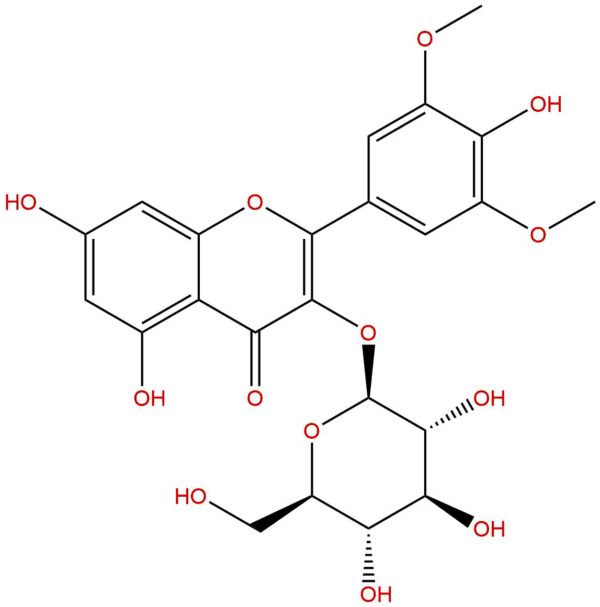 40039 49 4 - BIORLAB