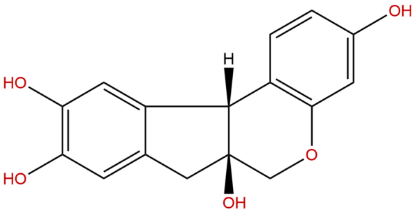 474 07 7 - BIORLAB