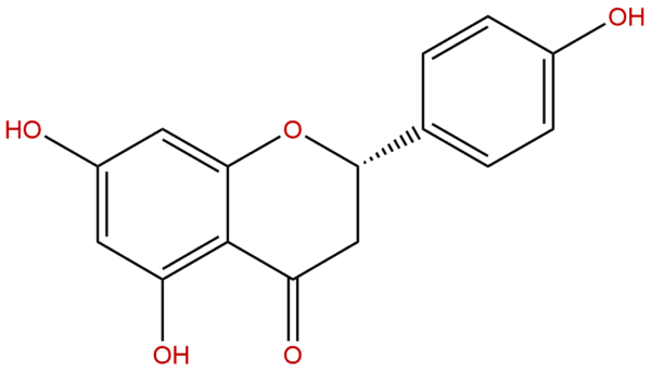 480 41 1 - BIORLAB