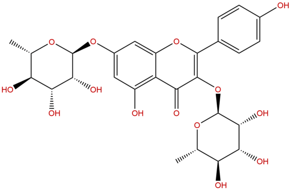 482 38 2 - BIORLAB