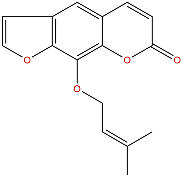 482 44 0 - BIORLAB