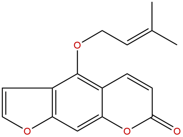 482 45 1 - BIORLAB