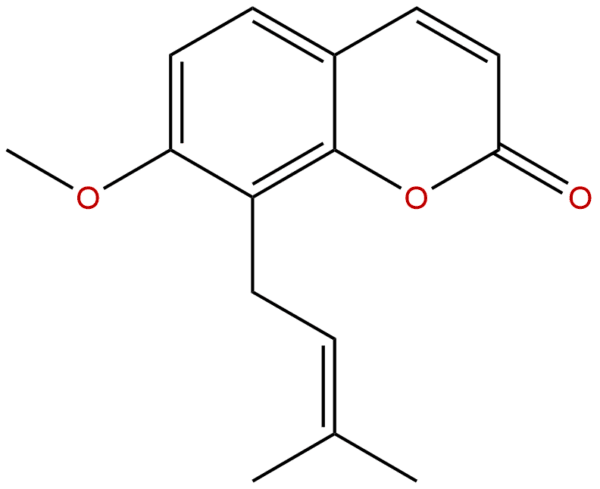 484 12 8 - BIORLAB