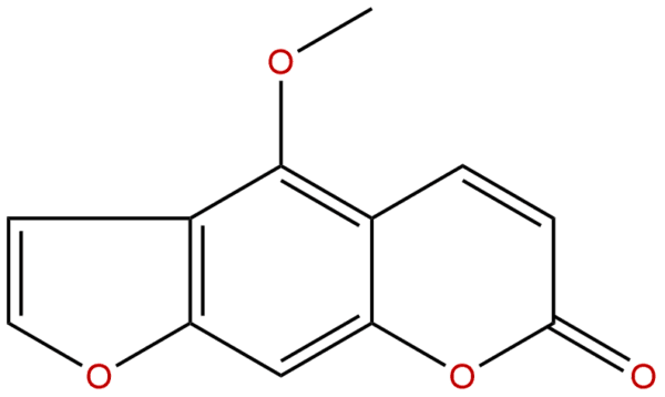 484 20 8 - BIORLAB