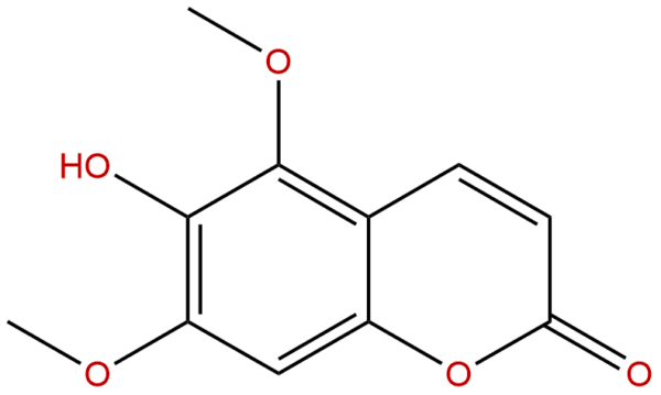 486 28 2 - BIORLAB