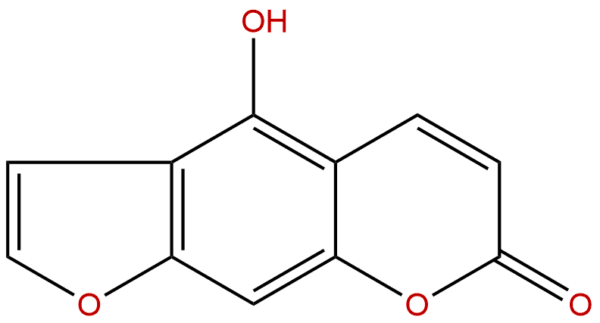 486 60 2 - BIORLAB