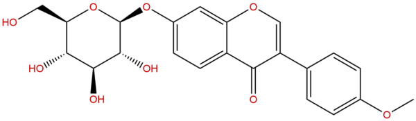 486 62 4 - BIORLAB