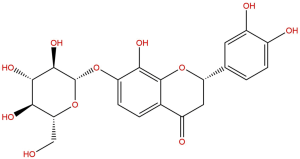 4d63f39d358687e77377276575d408bb - BIORLAB