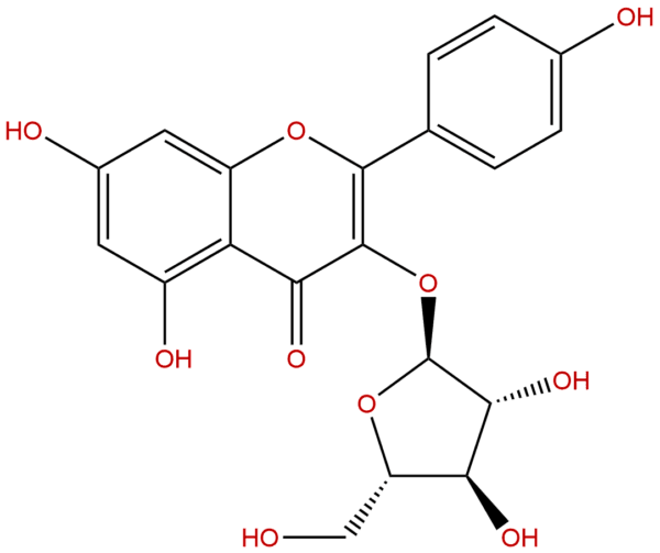 5041 67 8 - BIORLAB