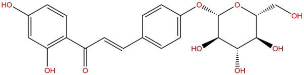 5041 81 6 - BIORLAB