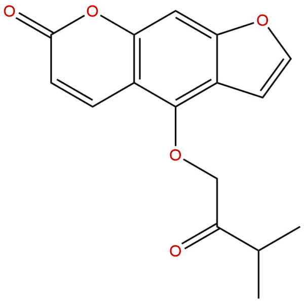 5058 15 1 - BIORLAB