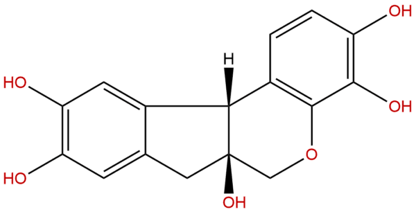 517 28 2 - BIORLAB