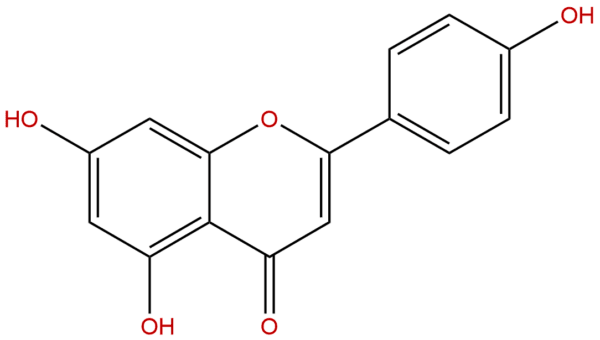 520 36 5 - BIORLAB