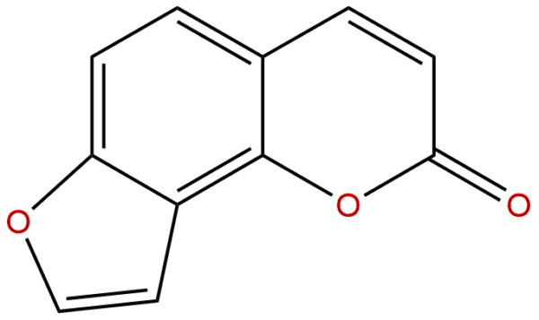 523 50 2 - BIORLAB