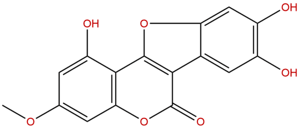 524 12 9 - BIORLAB