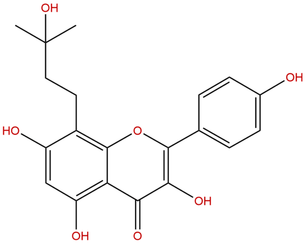 5240 95 9 - BIORLAB