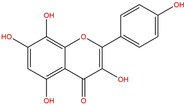 527 95 7 - BIORLAB