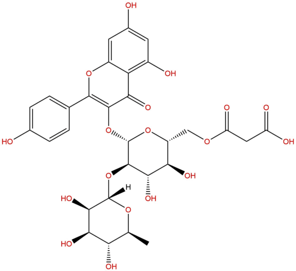 528606 92 0 - BIORLAB