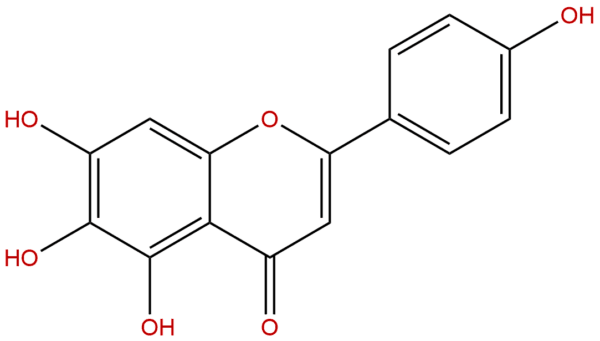 529 53 3 - BIORLAB