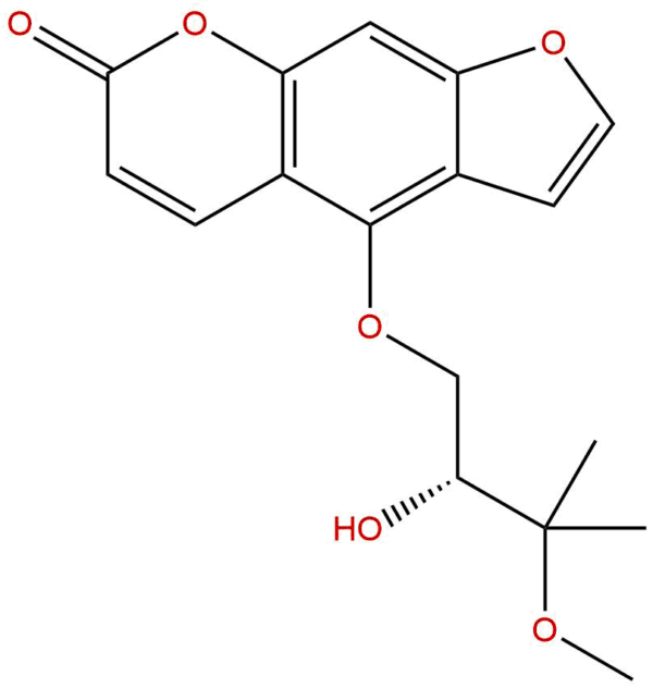 52939 12 5 - BIORLAB