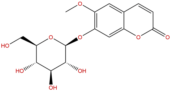 531 44 2 - BIORLAB