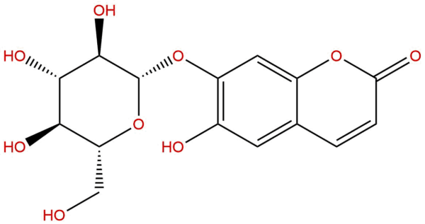 531 58 8 - BIORLAB