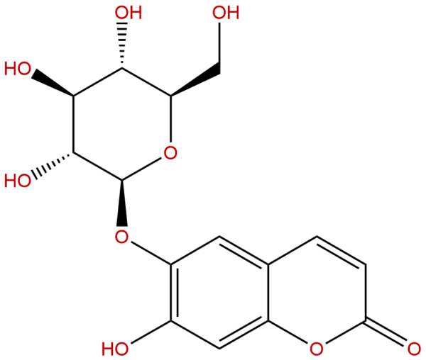 531 75 9 - BIORLAB