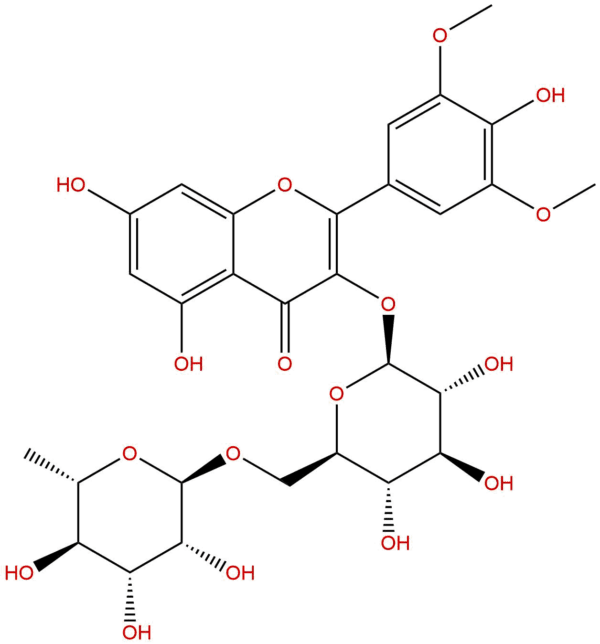 53430 50 5 - BIORLAB