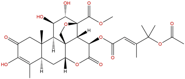 53729 52 5 - BIORLAB