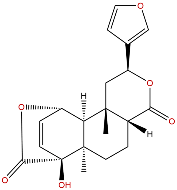 546 97 4 - BIORLAB