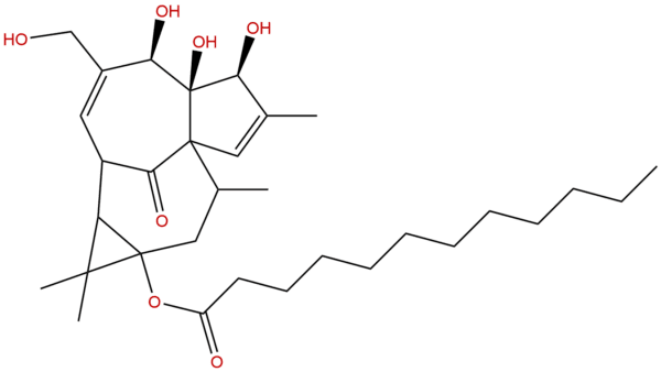 54706 70 6 - BIORLAB