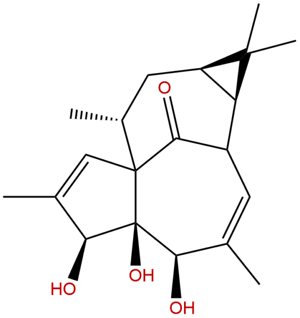 54706 99 9 - BIORLAB