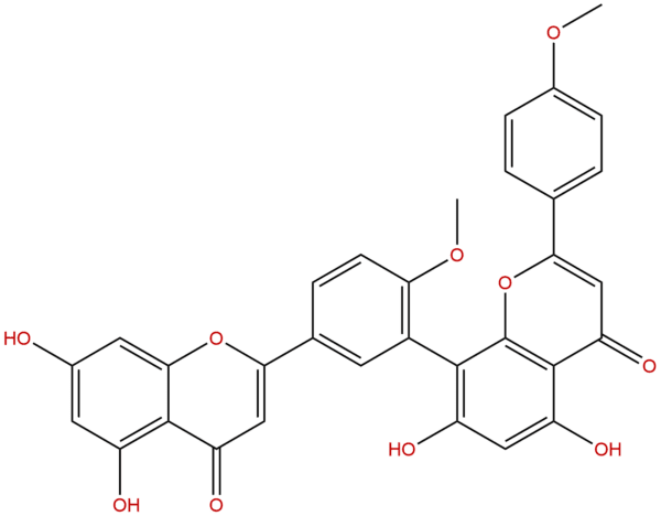 548 19 6 - BIORLAB