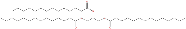 555 45 3 - BIORLAB