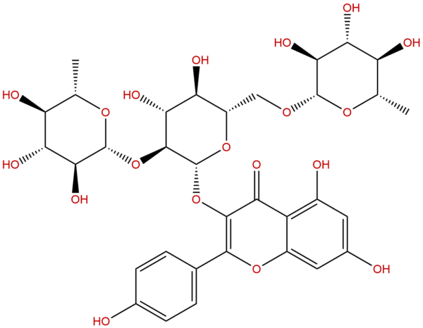 55804 74 5 - BIORLAB