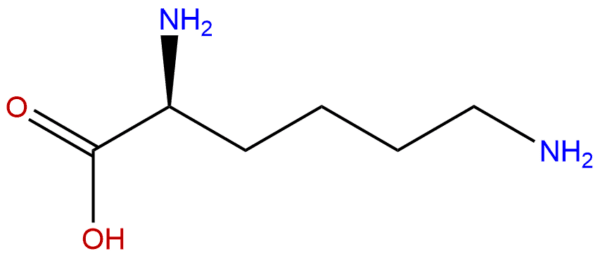 56 87 1 - BIORLAB