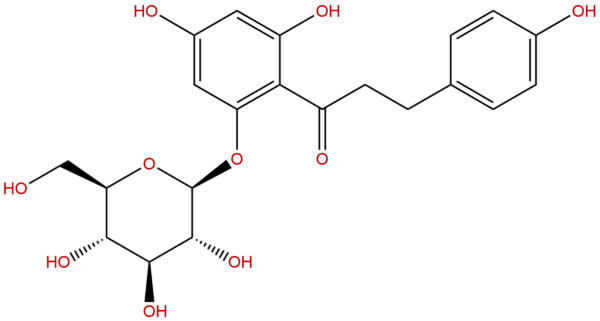 60 81 1 - BIORLAB