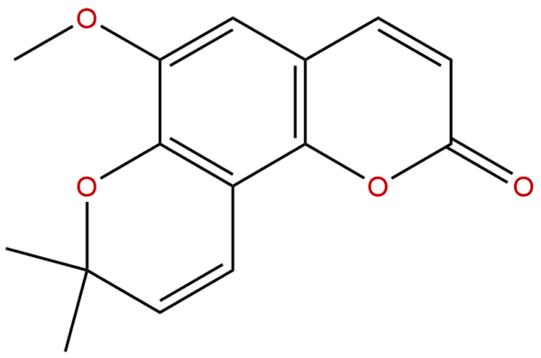 6054 10 0 - BIORLAB