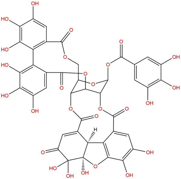 60976 49 0 - BIORLAB