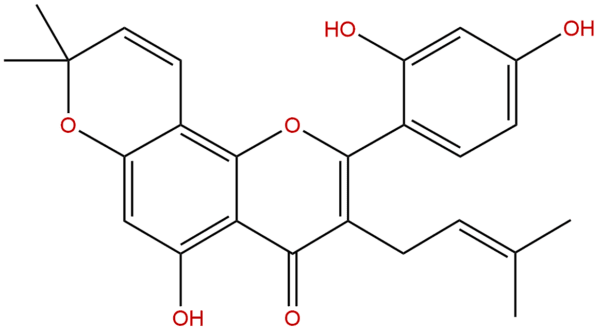 62596 29 6 - BIORLAB