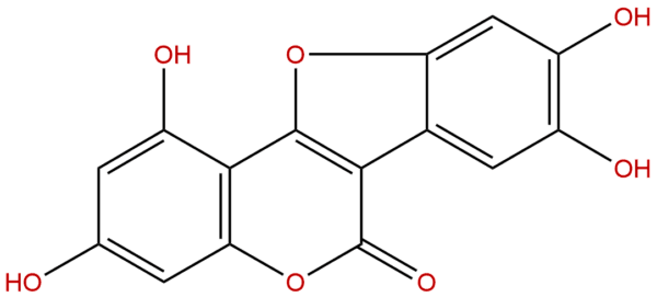 6468 55 9 - BIORLAB