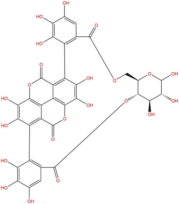 65995 64 4 - BIORLAB