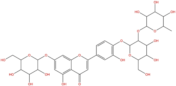 70404 42 1 - BIORLAB